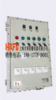 BXK系列瞬时起动防爆控制箱 电工仪器仪表的安全与效率之选